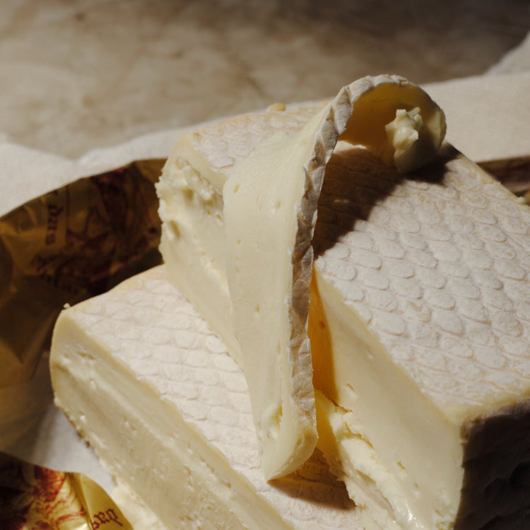 Queijo Tipo Taleggio - Serra das Antas