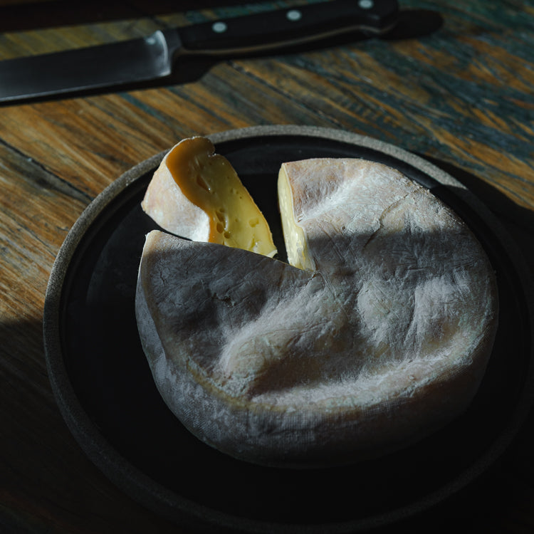 Queijo Giovanna Ribeiro Fiorentine