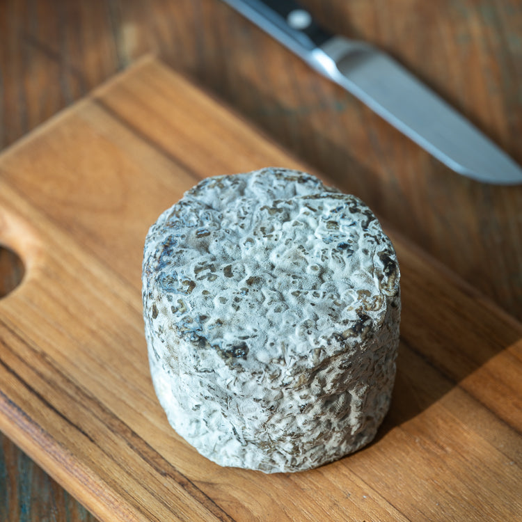 Queijo Azul do Bosque