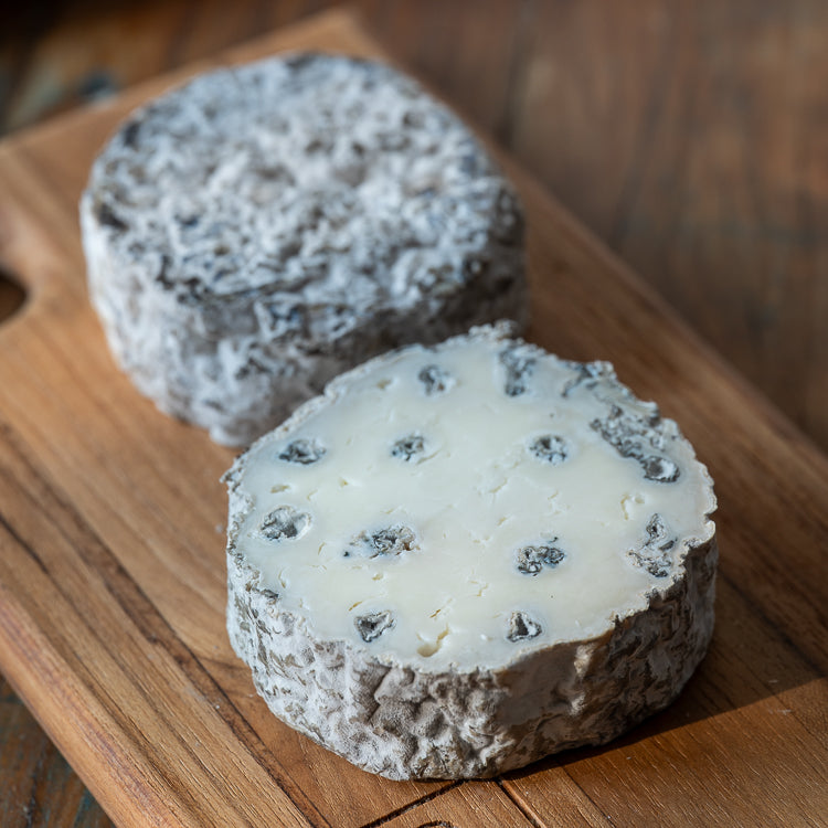 Queijo Azul do Bosque