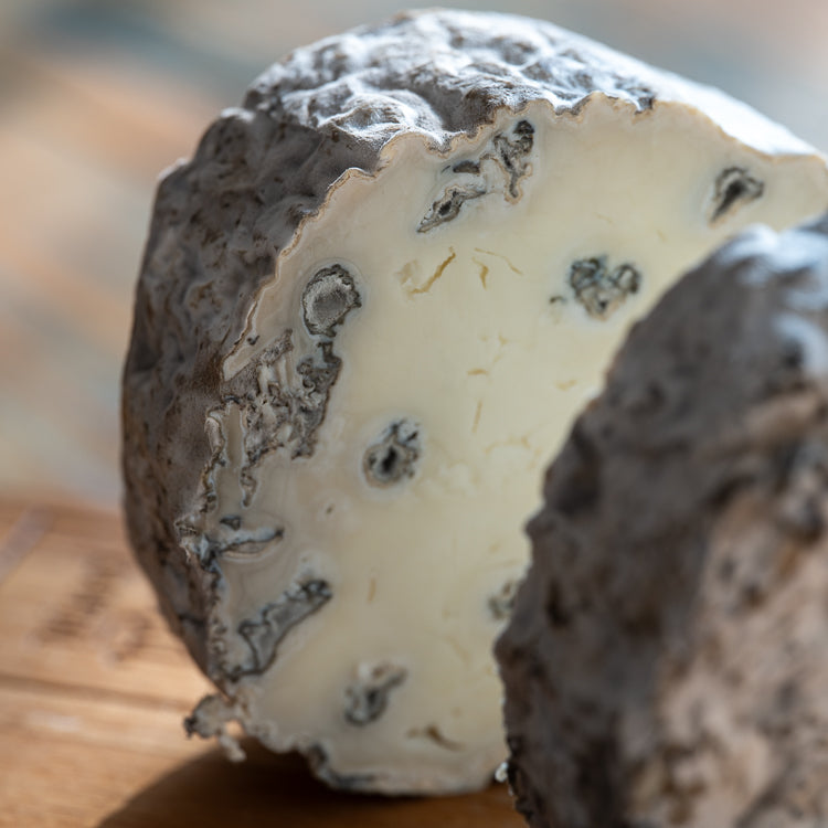 Queijo Azul do Bosque