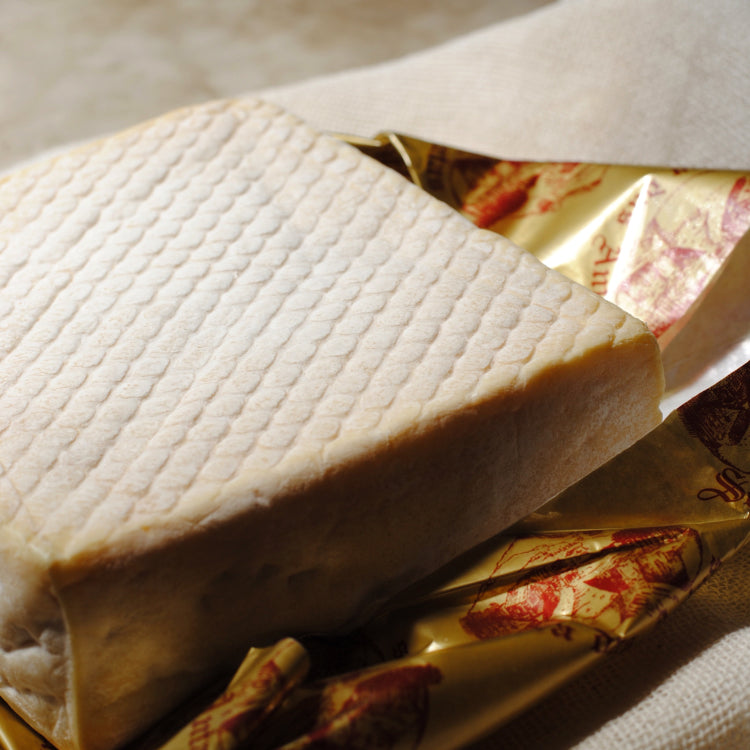 Queijo Tipo Taleggio - Serra das Antas