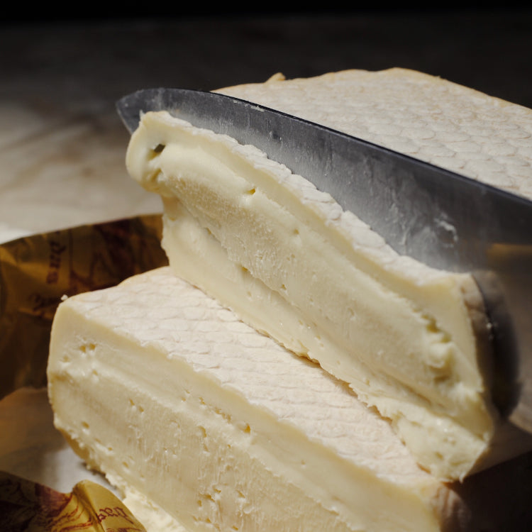 Queijo Tipo Taleggio - Serra das Antas