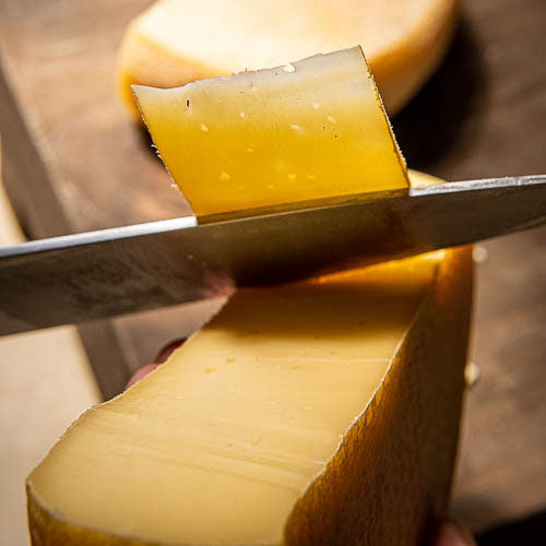 Queijo Chou Ribeiro Fiorentine