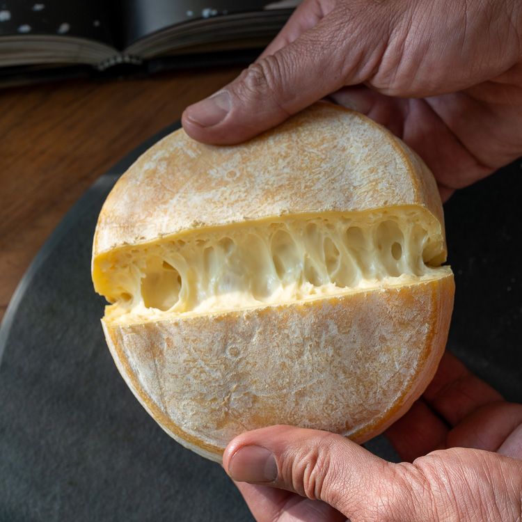 Queijo Giovanna Ribeiro Fiorentine